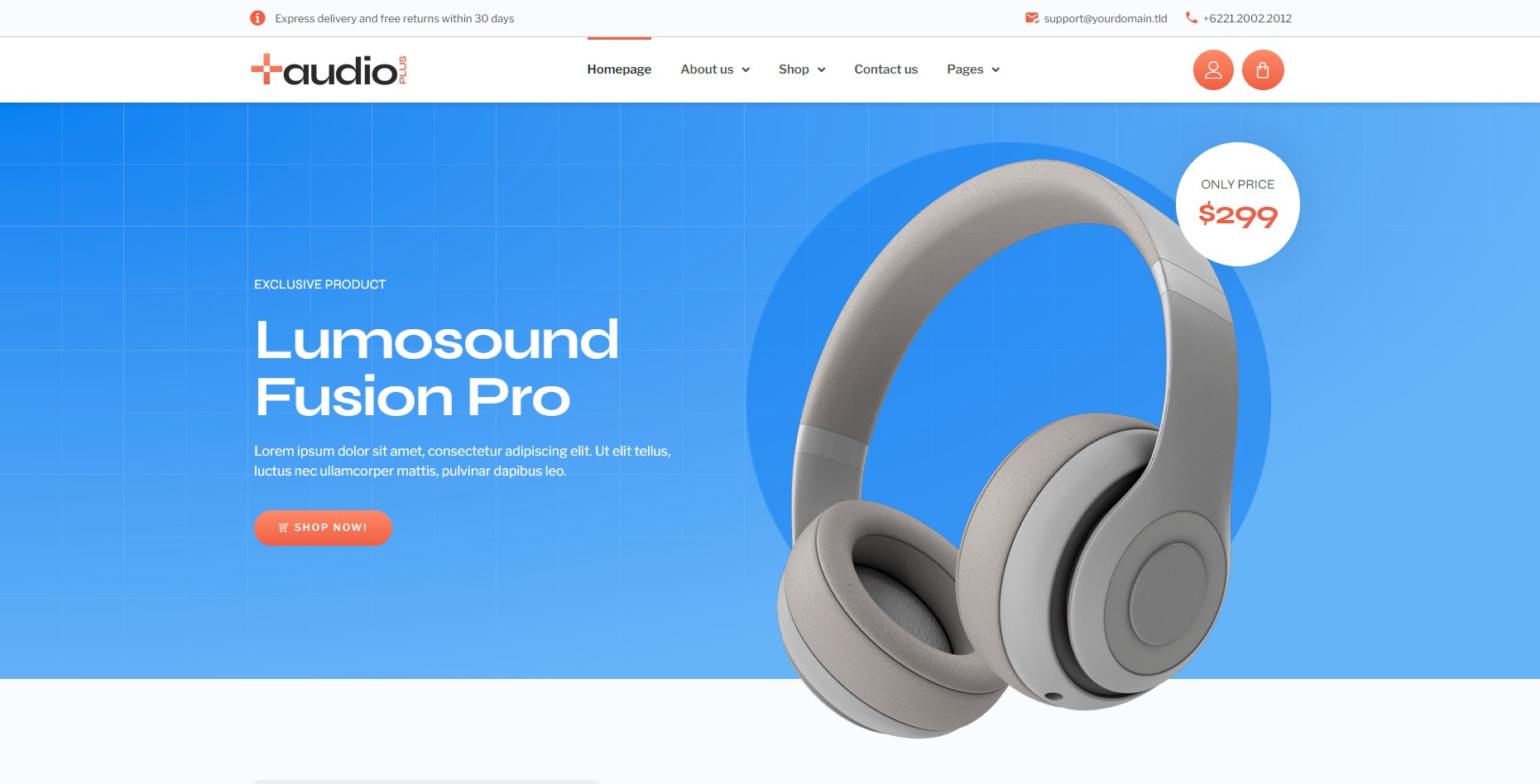 Ejemplo de Diseño Web Personalizado para tiendas online con interfaz moderna.